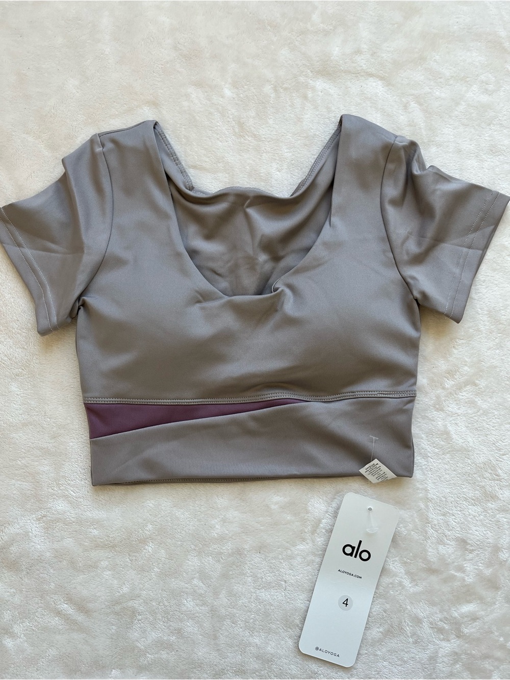 ALO Yoga Gray Short Sleeve Crop Top with Purple Accent